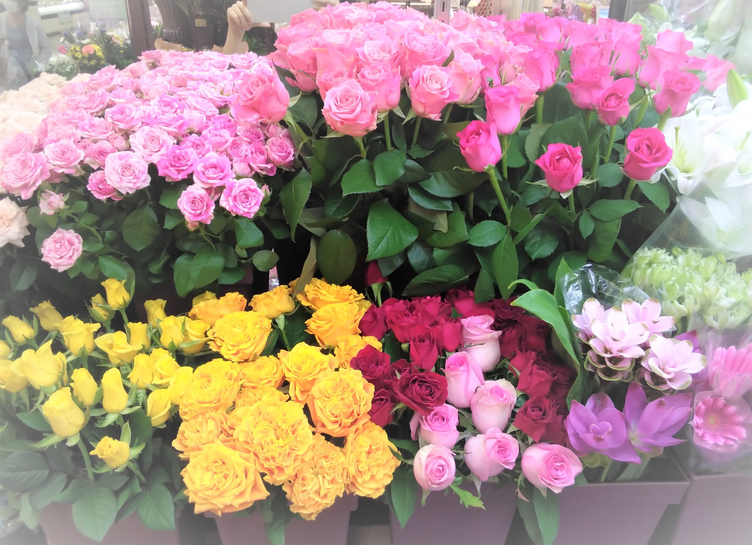 Flower Shopはなざ 石川県加賀市のお花屋さん 石川県加賀市アビオシティ加賀１fのお花屋さん アレンジや花束もお任せ下さい